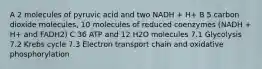 A 2 molecules of pyruvic acid and two NADH + H+ B 5 carbon dioxide molecules, 10 molecules of reduced coenzymes (NADH + H+ and FADH2) C 36 ATP and 12 H2O molecules 7.1 Glycolysis 7.2 Krebs cycle 7.3 Electron transport chain and oxidative phosphorylation