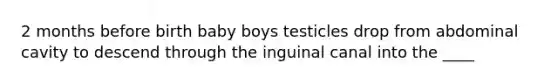 2 months before birth baby boys testicles drop from abdominal cavity to descend through the inguinal canal into the ____