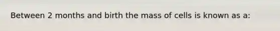 Between 2 months and birth the mass of cells is known as a: