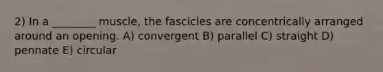 2) In a ________ muscle, the fascicles are concentrically arranged around an opening. A) convergent B) parallel C) straight D) pennate E) circular