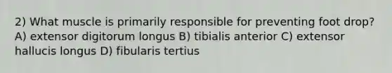 2) What muscle is primarily responsible for preventing foot drop? A) extensor digitorum longus B) tibialis anterior C) extensor hallucis longus D) fibularis tertius