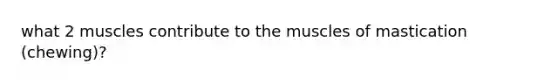 what 2 muscles contribute to the muscles of mastication (chewing)?