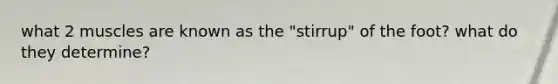 what 2 muscles are known as the "stirrup" of the foot? what do they determine?