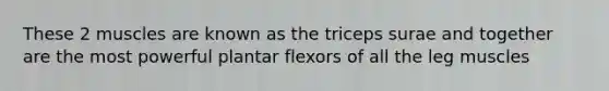 These 2 muscles are known as the triceps surae and together are the most powerful plantar flexors of all the leg muscles