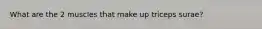 What are the 2 muscles that make up triceps surae?