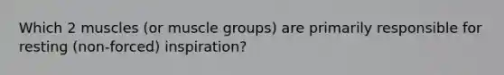 Which 2 muscles (or muscle groups) are primarily responsible for resting (non-forced) inspiration?