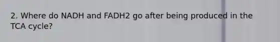 2. Where do NADH and FADH2 go after being produced in the TCA cycle?