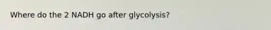 Where do the 2 NADH go after glycolysis?