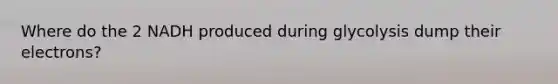Where do the 2 NADH produced during glycolysis dump their electrons?