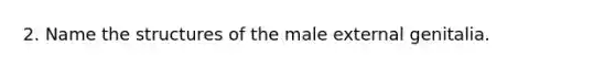 2. Name the structures of the male external genitalia.