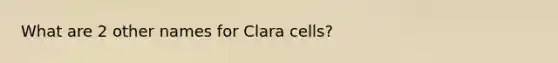 What are 2 other names for Clara cells?