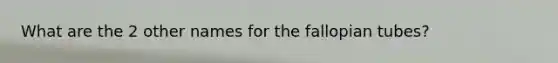 What are the 2 other names for the fallopian tubes?