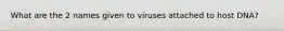 What are the 2 names given to viruses attached to host DNA?