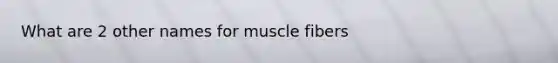 What are 2 other names for muscle fibers