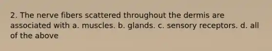 2. The nerve fibers scattered throughout <a href='https://www.questionai.com/knowledge/kEsXbG6AwS-the-dermis' class='anchor-knowledge'>the dermis</a> are associated with a. muscles. b. glands. c. sensory receptors. d. all of the above