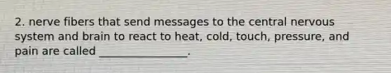 2. nerve fibers that send messages to the central nervous system and brain to react to heat, cold, touch, pressure, and pain are called ________________.