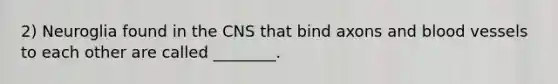 2) Neuroglia found in the CNS that bind axons and blood vessels to each other are called ________.