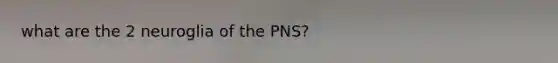 what are the 2 neuroglia of the PNS?