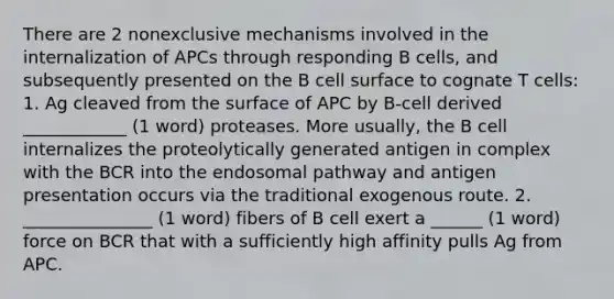 There are 2 nonexclusive mechanisms involved in the internalization of APCs through responding B cells, and subsequently presented on the B cell surface to cognate T cells: 1. Ag cleaved from the surface of APC by B-cell derived ____________ (1 word) proteases. More usually, the B cell internalizes the proteolytically generated antigen in complex with the BCR into the endosomal pathway and antigen presentation occurs via the traditional exogenous route. 2. _______________ (1 word) fibers of B cell exert a ______ (1 word) force on BCR that with a sufficiently high affinity pulls Ag from APC.