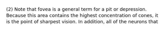 (2) Note that fovea is a general term for a pit or depression. Because this area contains the highest concentration of cones, it is the point of sharpest vision. In addition, all of the neurons that
