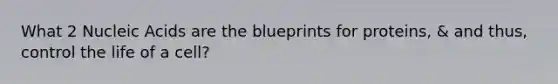 What 2 Nucleic Acids are the blueprints for proteins, & and thus, control the life of a cell?