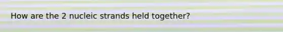 How are the 2 nucleic strands held together?