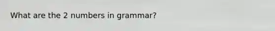 What are the 2 numbers in grammar?