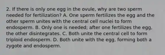 2. If there is only one egg in the ovule, why are two sperm needed for fertilization? A. One sperm fertilizes the egg and the other sperm unites with the central cell nuclei to form endosperm. B. Only one is needed; after one fertilizes the egg, the other disintegrates. C. Both unite the central cell to form triploid endosperm. D. Both unite with the egg, forming both a zygote and endosperm.