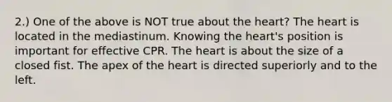 2.) One of the above is NOT true about the heart? The heart is located in the mediastinum. Knowing the heart's position is important for effective CPR. The heart is about the size of a closed fist. The apex of the heart is directed superiorly and to the left.