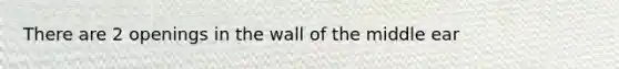 There are 2 openings in the wall of the middle ear