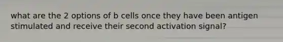 what are the 2 options of b cells once they have been antigen stimulated and receive their second activation signal?