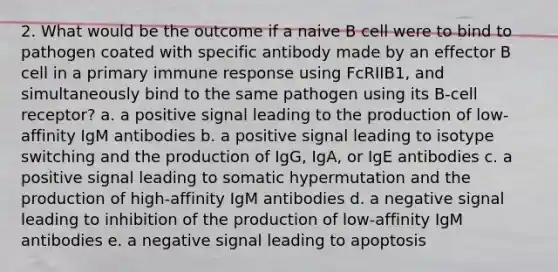 2. What would be the outcome if a naive B cell were to bind to pathogen coated with specific antibody made by an effector B cell in a primary immune response using Fc RIIB1, and simultaneously bind to the same pathogen using its B-cell receptor? a. a positive signal leading to the production of low-affinity IgM antibodies b. a positive signal leading to isotype switching and the production of IgG, IgA, or IgE antibodies c. a positive signal leading to somatic hypermutation and the production of high-affinity IgM antibodies d. a negative signal leading to inhibition of the production of low-affinity IgM antibodies e. a negative signal leading to apoptosis