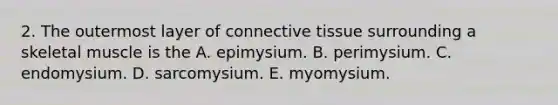 2. The outermost layer of connective tissue surrounding a skeletal muscle is the A. epimysium. B. perimysium. C. endomysium. D. sarcomysium. E. myomysium.