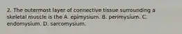 2. The outermost layer of connective tissue surrounding a skeletal muscle is the A. epimysium. B. perimysium. C. endomysium. D. sarcomysium.