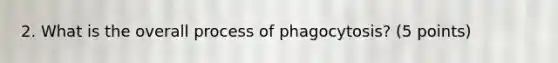 2. What is the overall process of phagocytosis? (5 points)