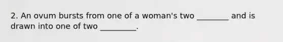 2. An ovum bursts from one of a woman's two ________ and is drawn into one of two _________.