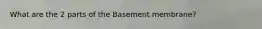 What are the 2 parts of the Basement membrane?