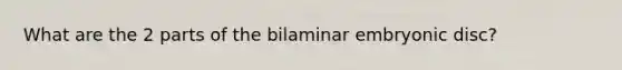 What are the 2 parts of the bilaminar embryonic disc?