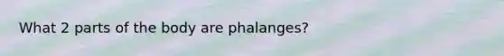 What 2 parts of the body are phalanges?