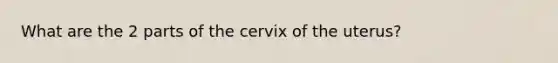 What are the 2 parts of the cervix of the uterus?