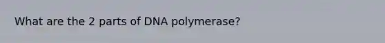 What are the 2 parts of DNA polymerase?