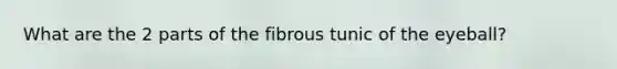 What are the 2 parts of the fibrous tunic of the eyeball?