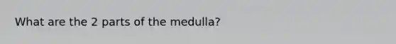 What are the 2 parts of the medulla?