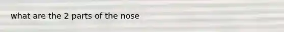 what are the 2 parts of the nose