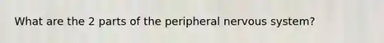 What are the 2 parts of the peripheral nervous system?