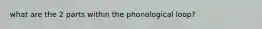 what are the 2 parts within the phonological loop?