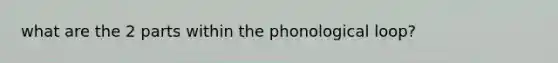 what are the 2 parts within the phonological loop?