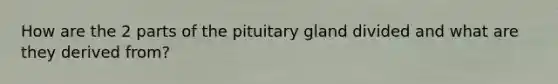 How are the 2 parts of the pituitary gland divided and what are they derived from?