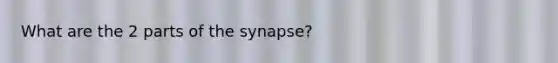 What are the 2 parts of the synapse?