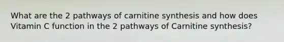 What are the 2 pathways of carnitine synthesis and how does Vitamin C function in the 2 pathways of Carnitine synthesis?